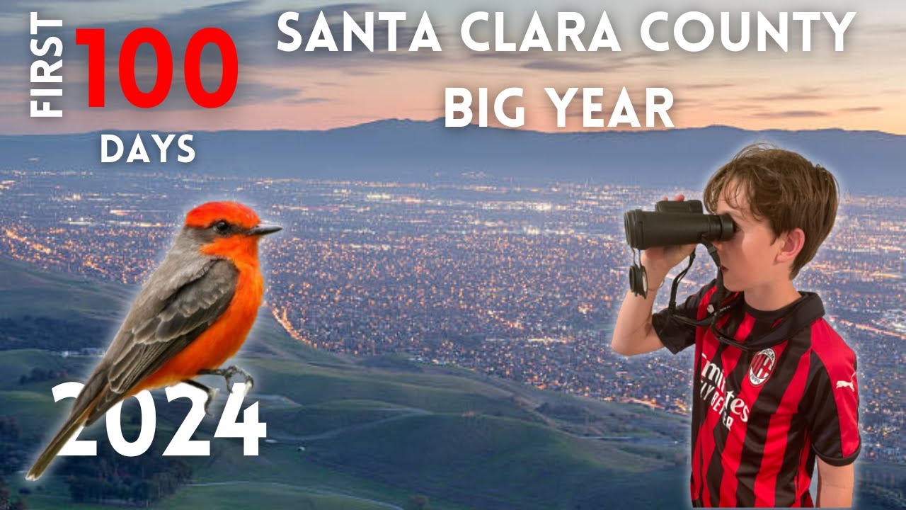 First 100 Days of My Santa Clara County Big Year