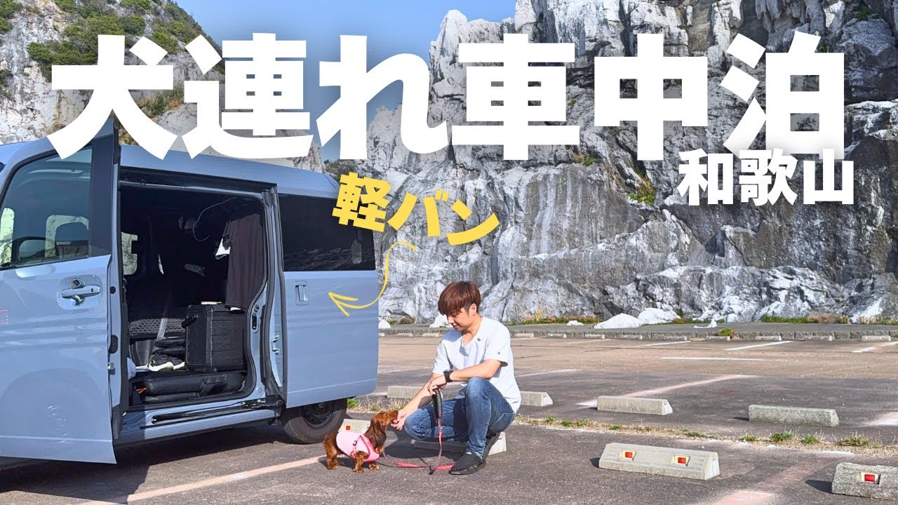【犬連れ車中泊】愛犬を連れて和歌山方面を観光、車中泊