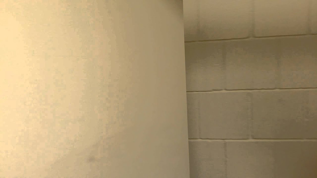 The bathroom door at work sounds like Chewbacca