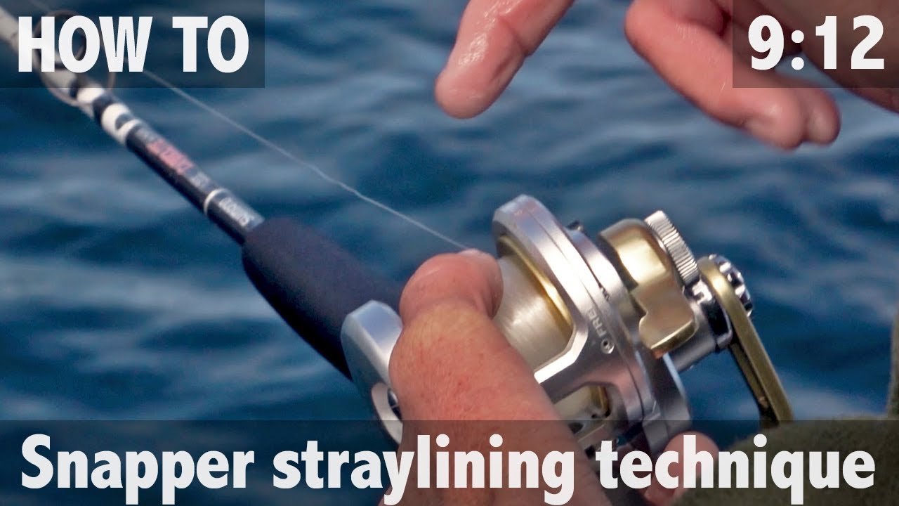 Snapper Basics: Straylining for Snapper