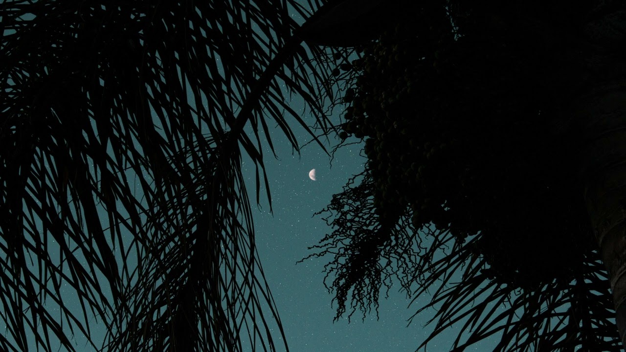Brilliant Autumn Night | Autumn night environment | 8 Hours | Nature sleep sounds