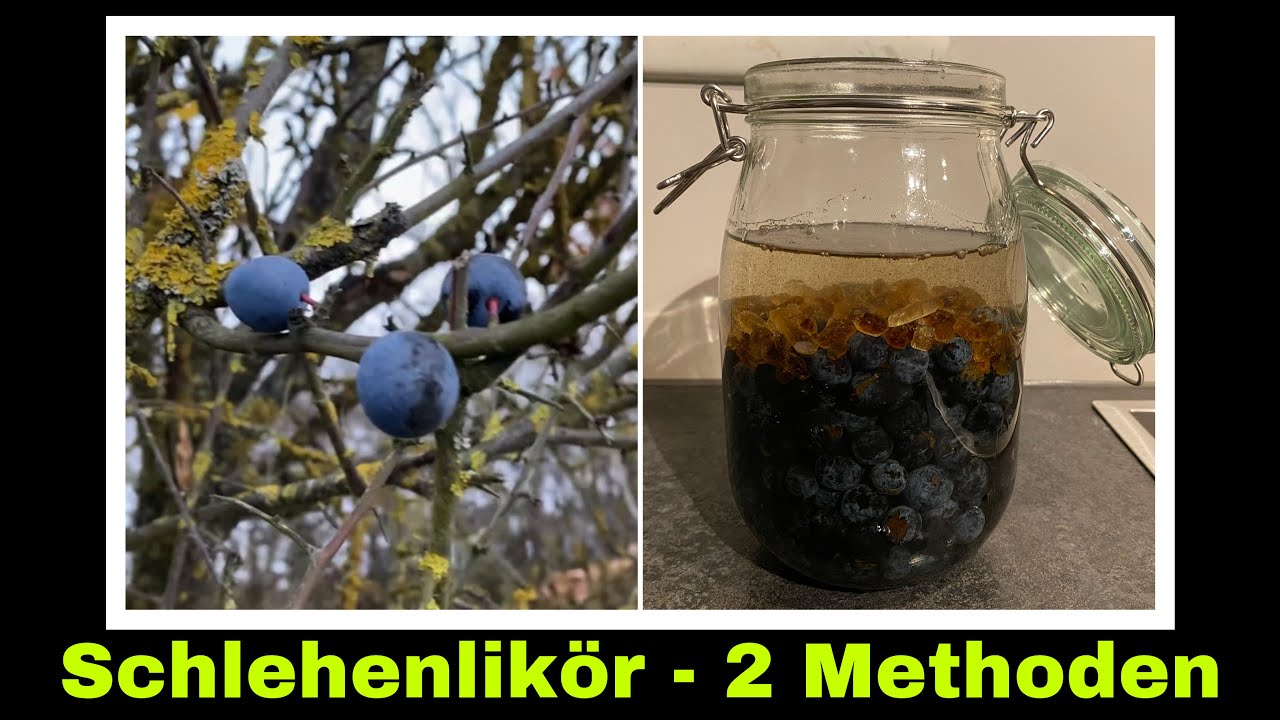 Schlehenlik&ouml;r Rezept | Schlehen Lik&ouml;r mit und ohne Bittermandel Aroma | Selbstversorgung