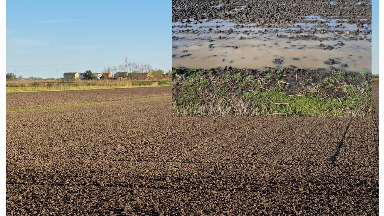 Preparazione terreno semi-alluvionato 2025