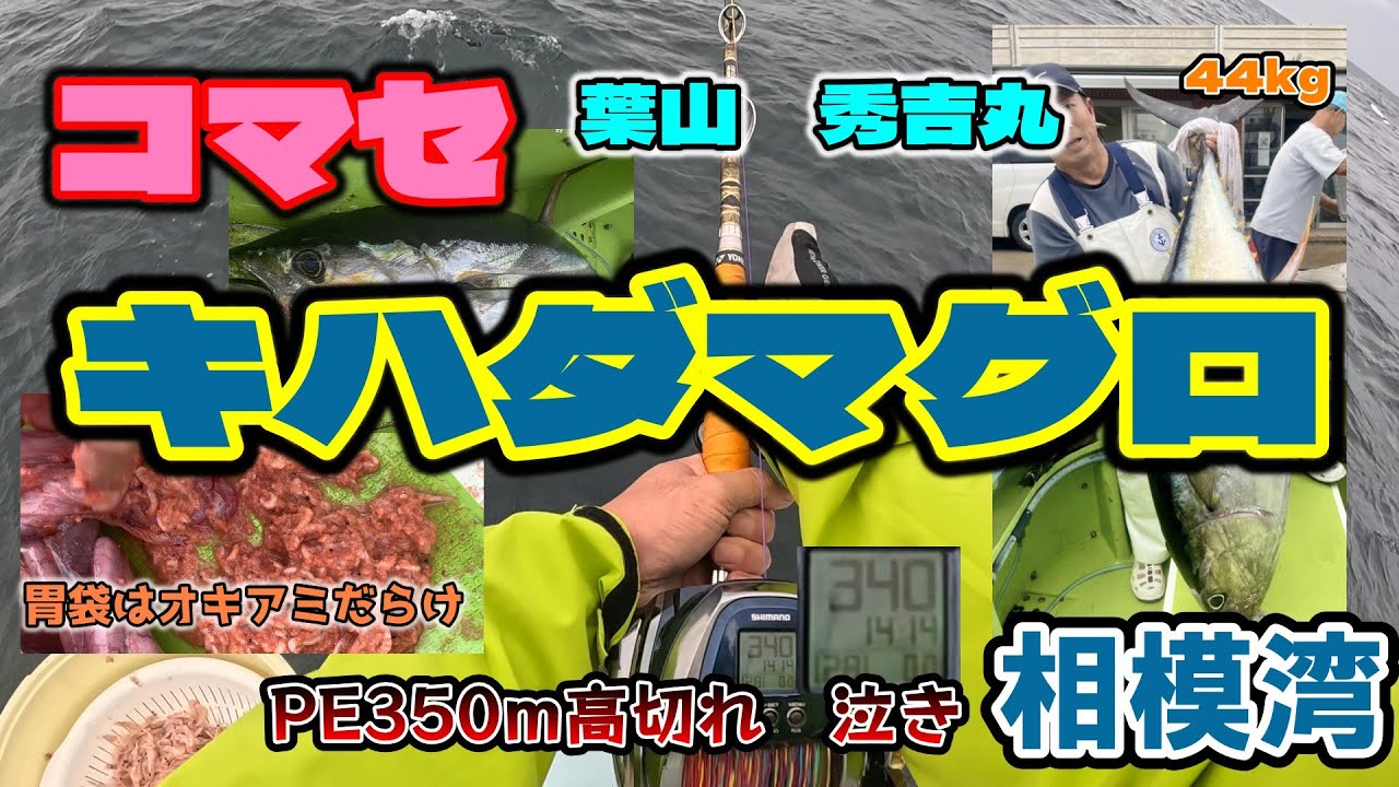 PE350m高切れ　絶望　PE残り量130mで44Kg 相模湾コマセキハダマグロ　葉山秀吉丸