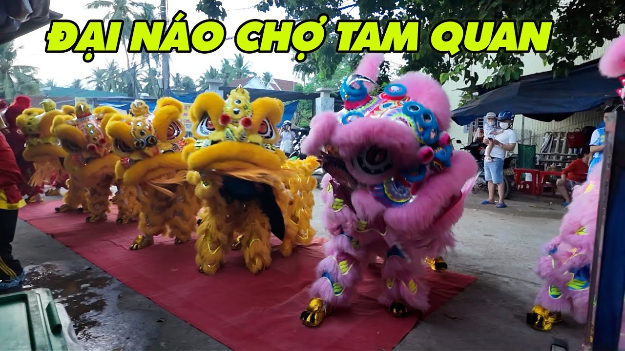 Bình Minh TV | Dàn Lân KHỦNG Đại Náo Chợ Tam Quan