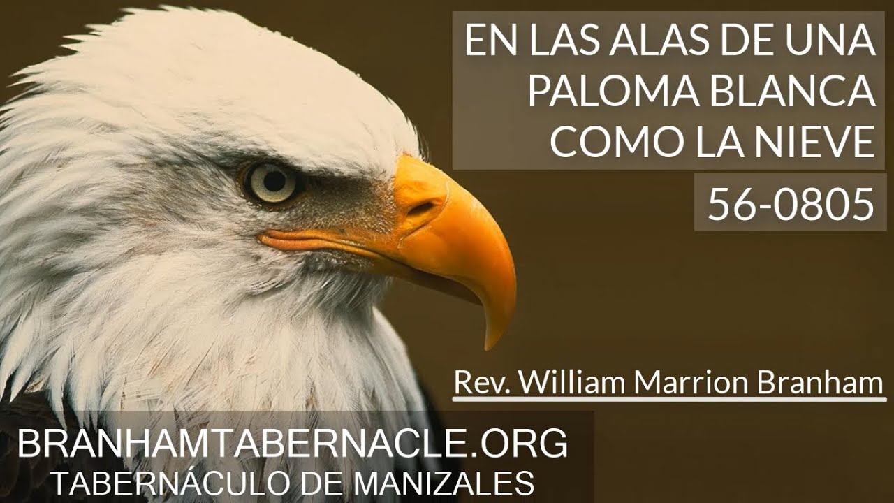 65 -1128E | En Las Alas De Una Paloma Blanca Como La Nieve | William Marrion Branham