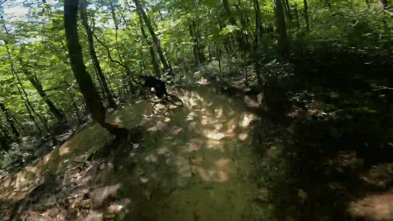CST Rock Hawk 26 x 2.25 vs Blunderbuss! Shred with Cory!