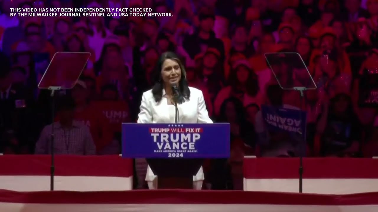 Tulsi Gabbard speech outlines Donald Trump at MSG rally in NYC nearly week before Election Day