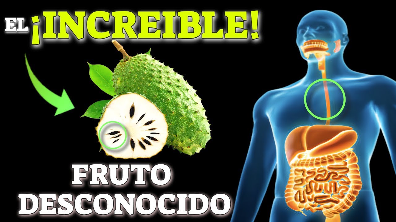 TOMA TÉ de GRAVIOLA para CURAR (COMO USARLA)