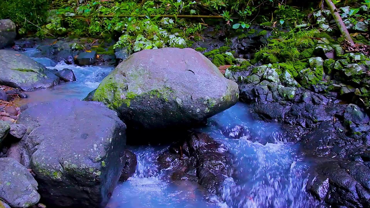Forest Stream Flowing Softly | Deep Sleep Mountain Water Sounds