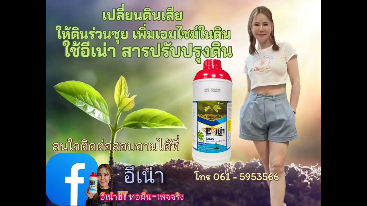 อีเน่าหรือดินเน่าจุลินทรีย์ย่อยสลายสารปรับปรุงดิน ดินจะกลับมาสมบูรณ์อีกครั้งด้วยอีเน่า