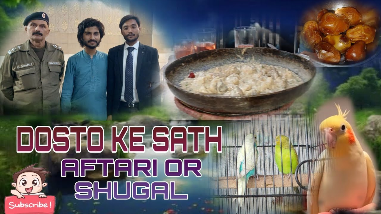 Dosto ke sath Aftari & parrots 🦜  vlog#viral# foryou# Shorts#youtube#wajiiikambohvlogger1 