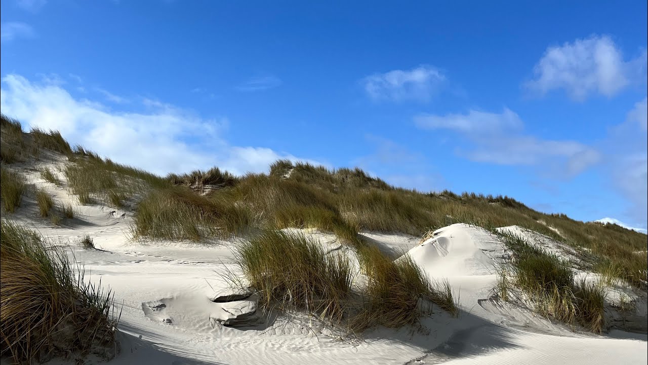 Ein Tag auf Ameland - April 2024
