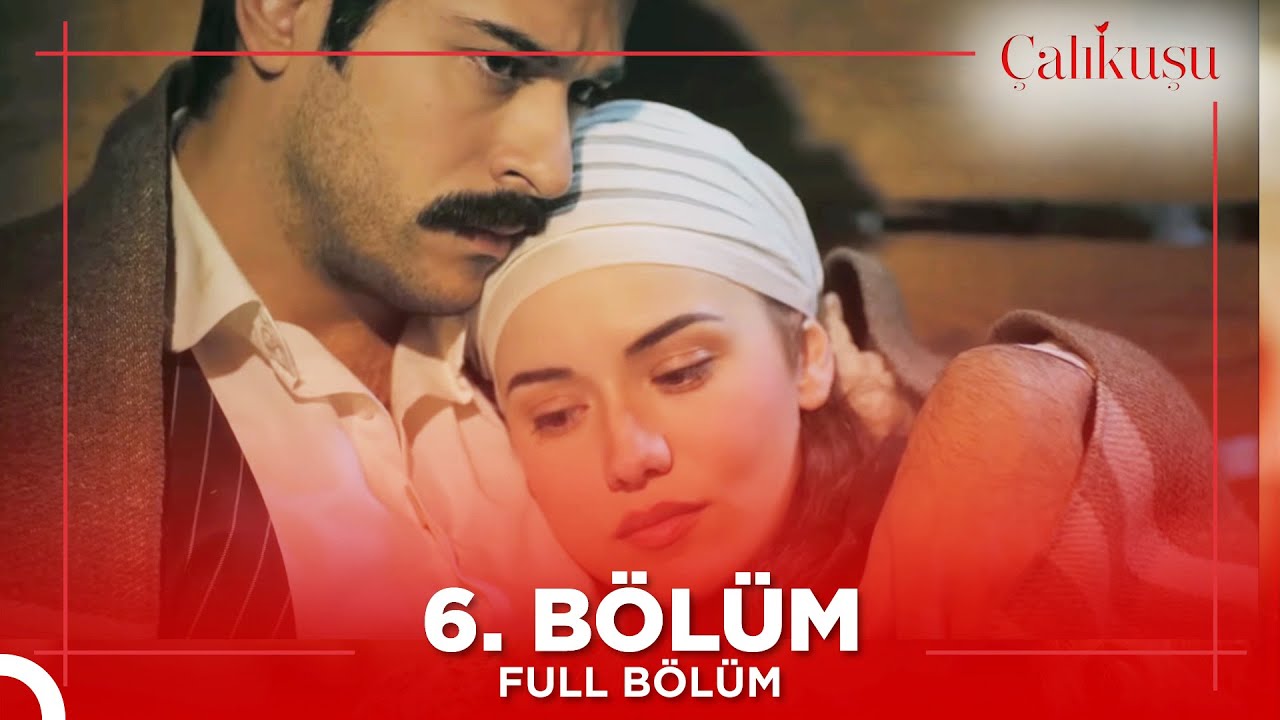 &Ccedil;alıkuşu 6. B&ouml;l&uuml;m