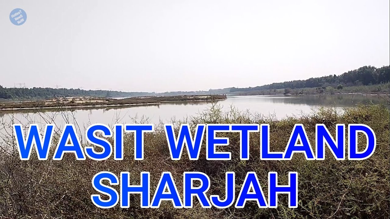 Views around Wasit Wetland Sharjah