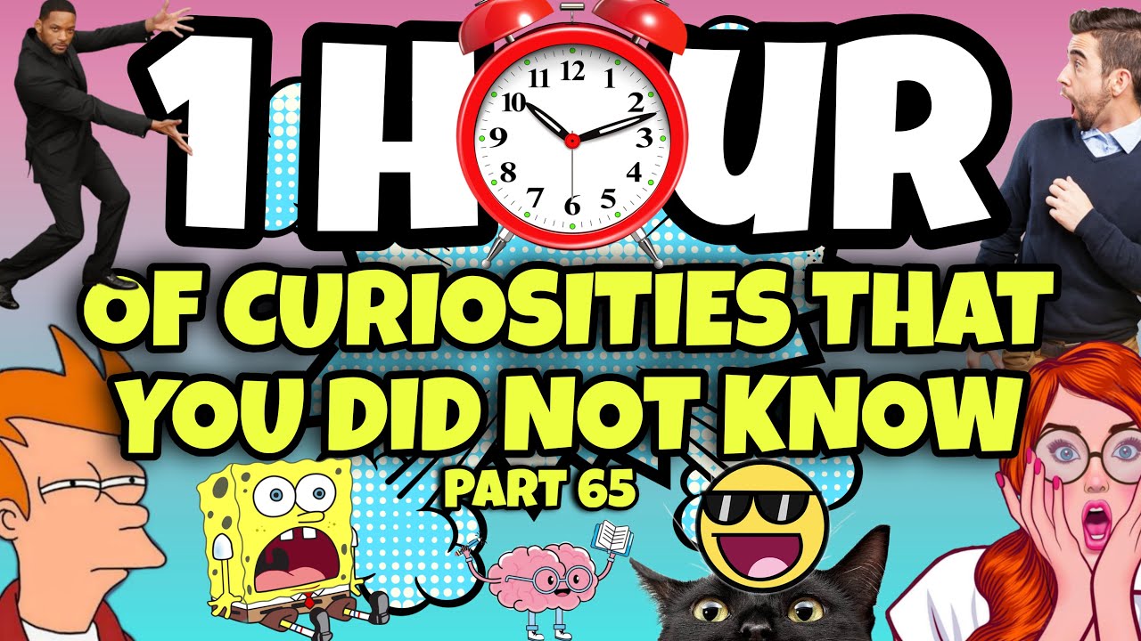 1 HOUR OF CURIOSITIES AND THINGS YOU DIDN'T KNOW 🧠⏰ #65
