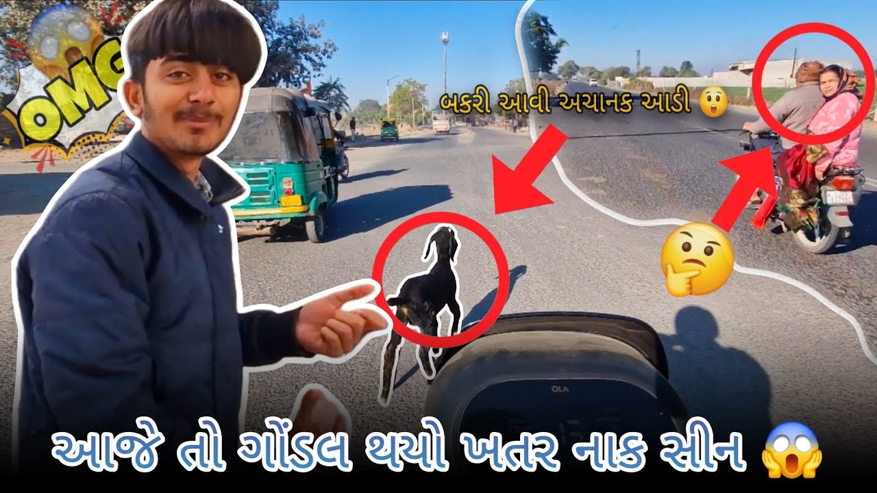 આજે તો ગોંડલ થયો ખતર નાક સીન 😱||બકરી આવી અચાનક આડી 😲||Gujarati comedy video 