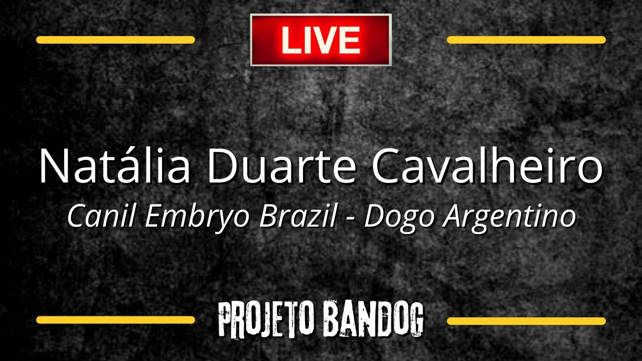 LIVE COM NATÁLIA DUARTE CAVALHEIRO - CANIL EMBRYO-BRAZIL | PROJETO BANDOG