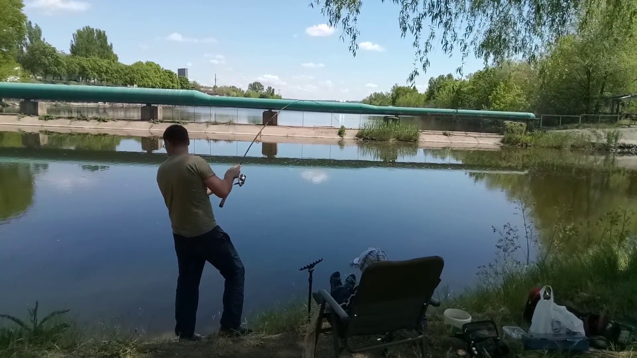 Flagman Squadron 3.3m и карп около 3 кг.
