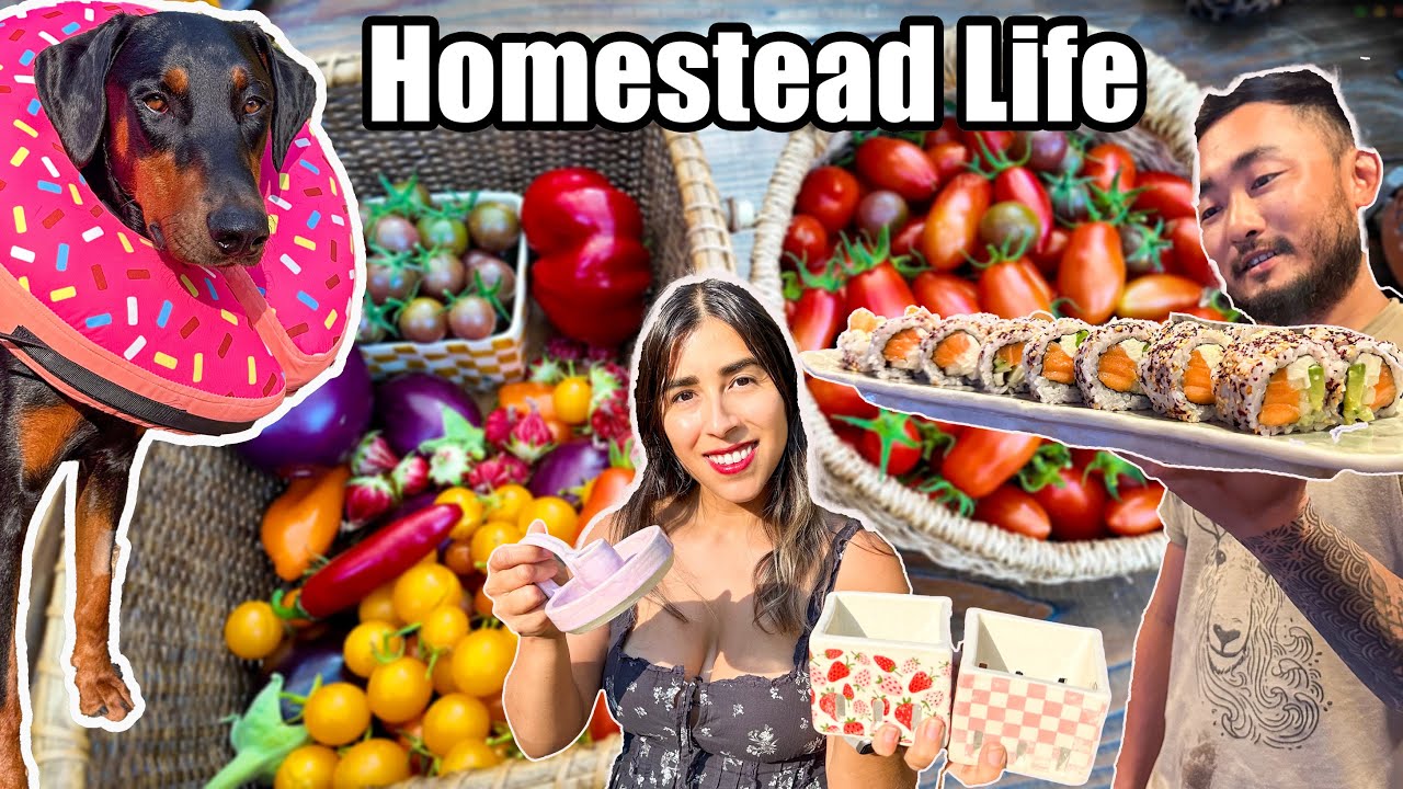 Life at the Homestead | Sushi, Ceramics, & Garden