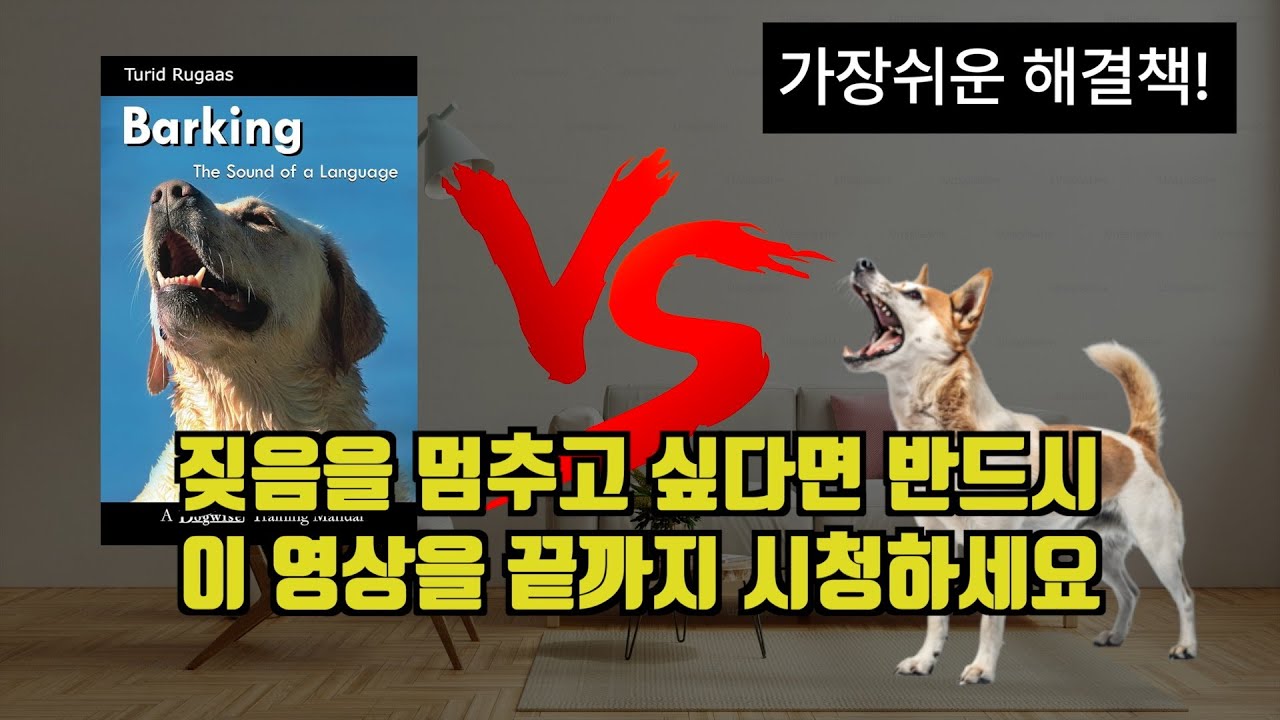 🐕 짖음을 알아야 짖음을 올바르게 교정할수 있습니다 #짖음 #강아지짖음훈련 #강아지짖음