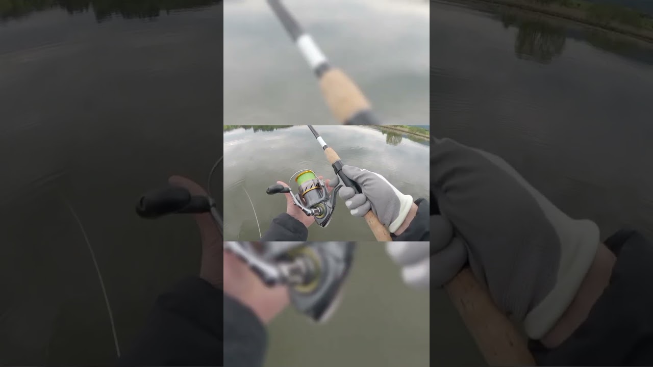 #fishing #kunstk&ouml;der #mazerunner #shorts #shortvideo #fishingshorts #fishingvideo #angeln #pike