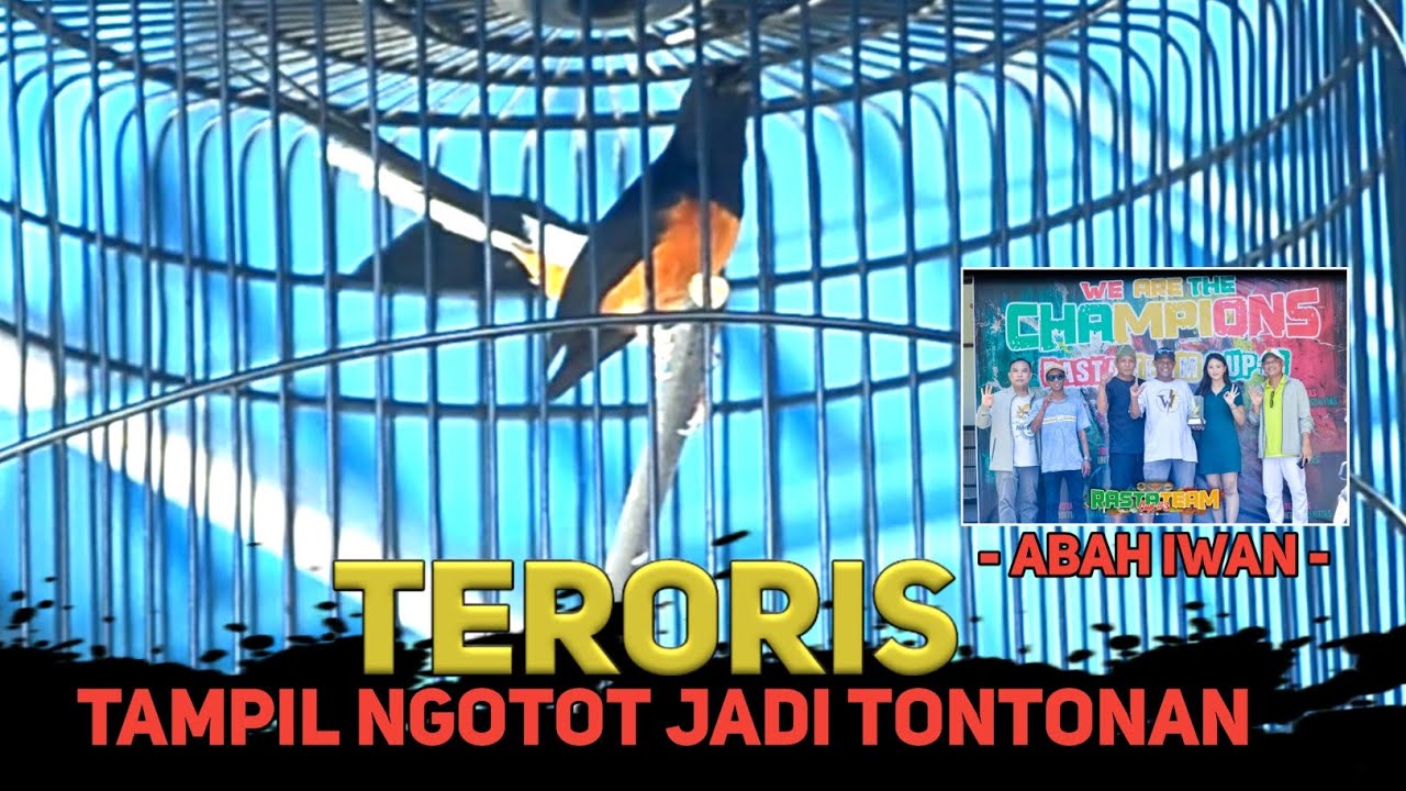 TERORIS🔥 Besutan Abah Iwan SPY Jadi Tontonan