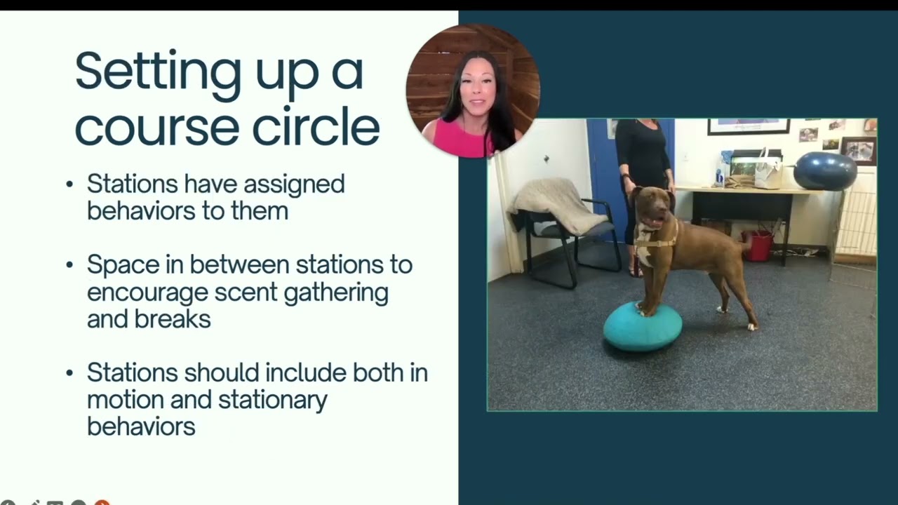 FDSA Webinar Circle Work: Movement Stations to Increase Confidence and Decrease Reactivity