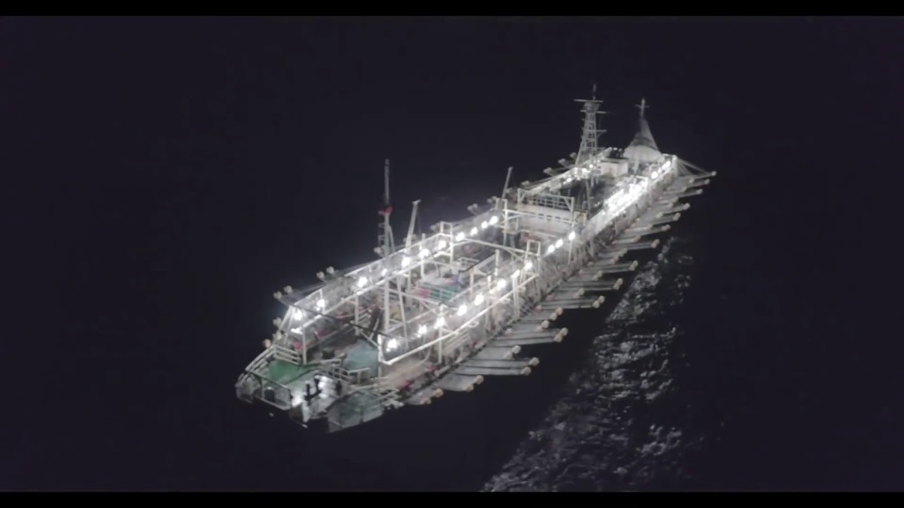 SEA SHEPHERD LANCE L'OPERATION MAMACOCHA