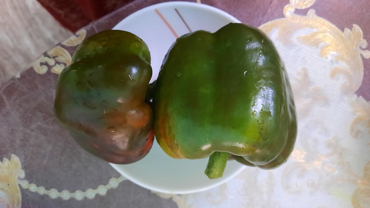 সোমবারের সান্ধ্যকালীন লাইভে বসলাম চলে এসো সবাই