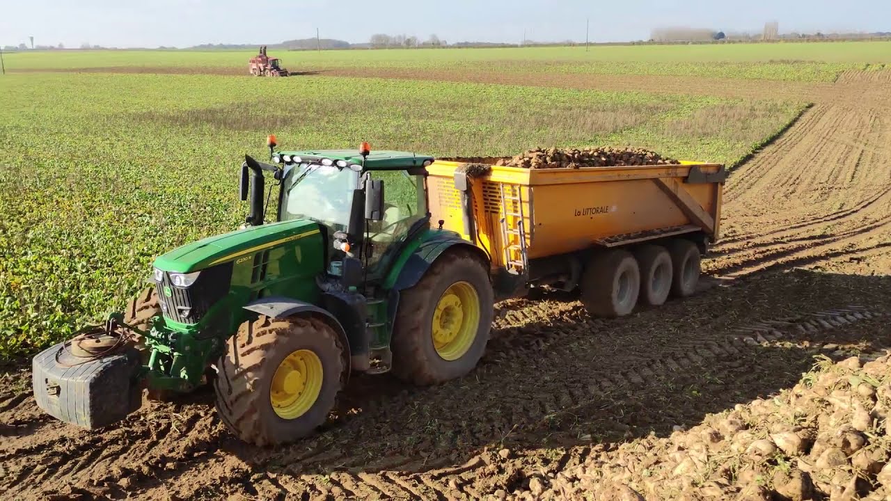 Arrachage de betterave 2020 /Holmer/John Deere