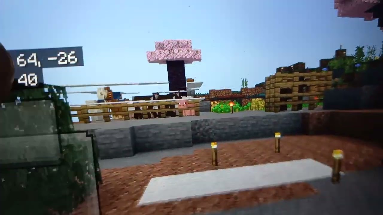 Minecraft video 