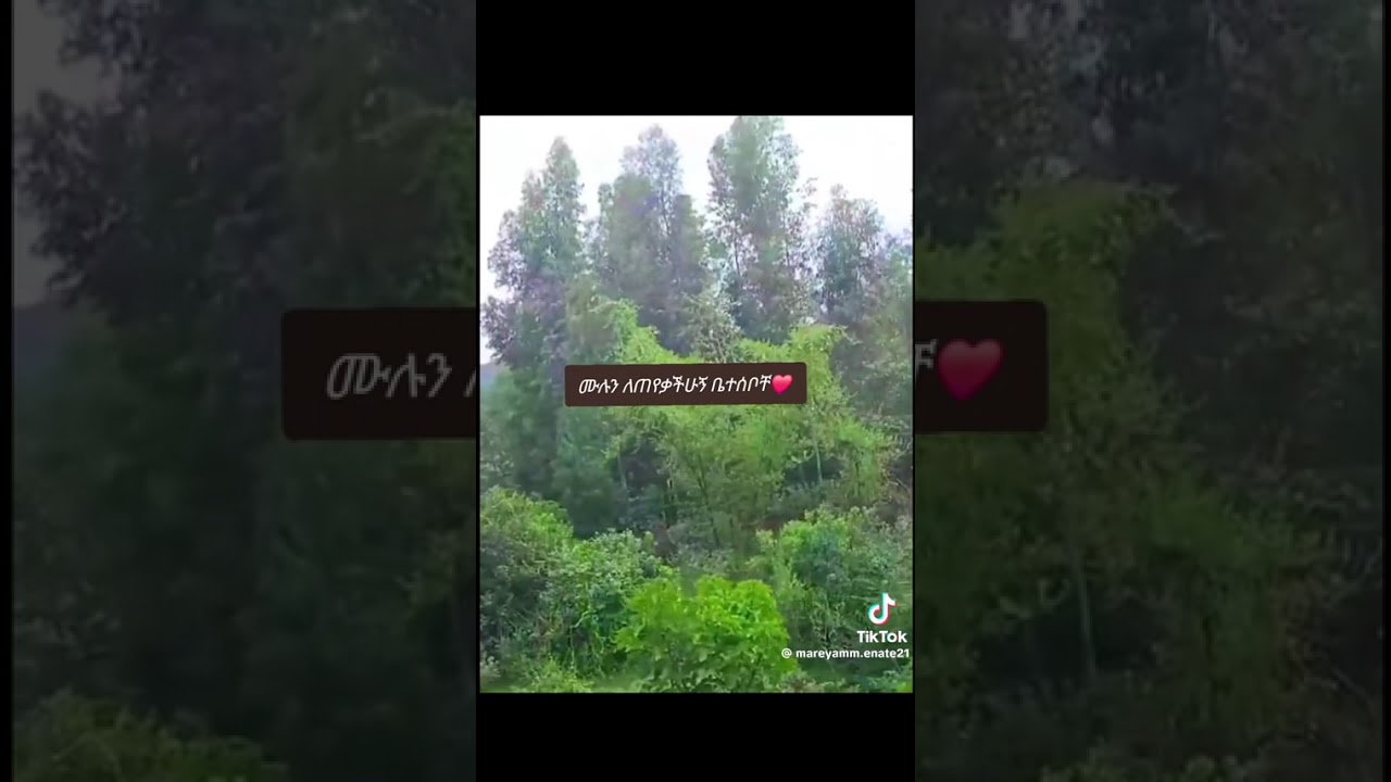 በአበቱም ጌታነው በናቱም ወይዘሮ እድሉ እቢአለጂ እደምጭደዙሮ