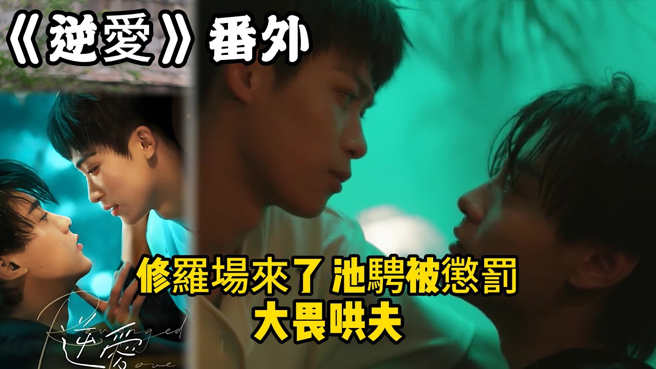 《逆愛》番外！：（50）修羅場來了， 池騁被懲罰，大畏哄夫。#田栩宁 #梓渝 #吴所畏 #池骋 #逆爱 #revenged