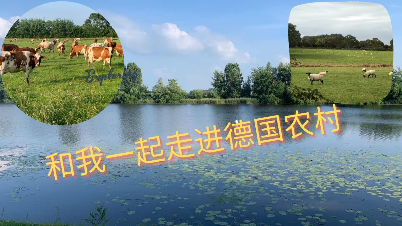 老梦带你一起走进德国农村  #德国农村  #德国小镇 #田园生活 #德国生活
