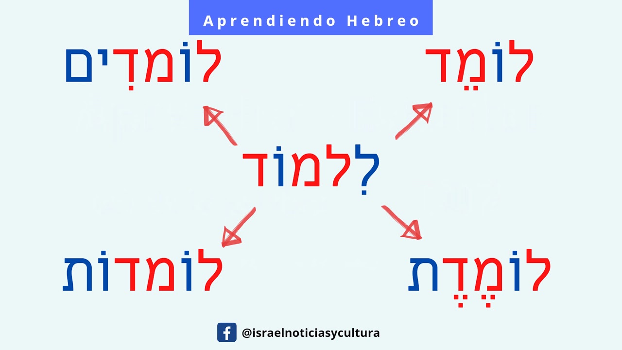 [Hebreo] Verbos ESTUDIAR y APRENDER en tiempo presente