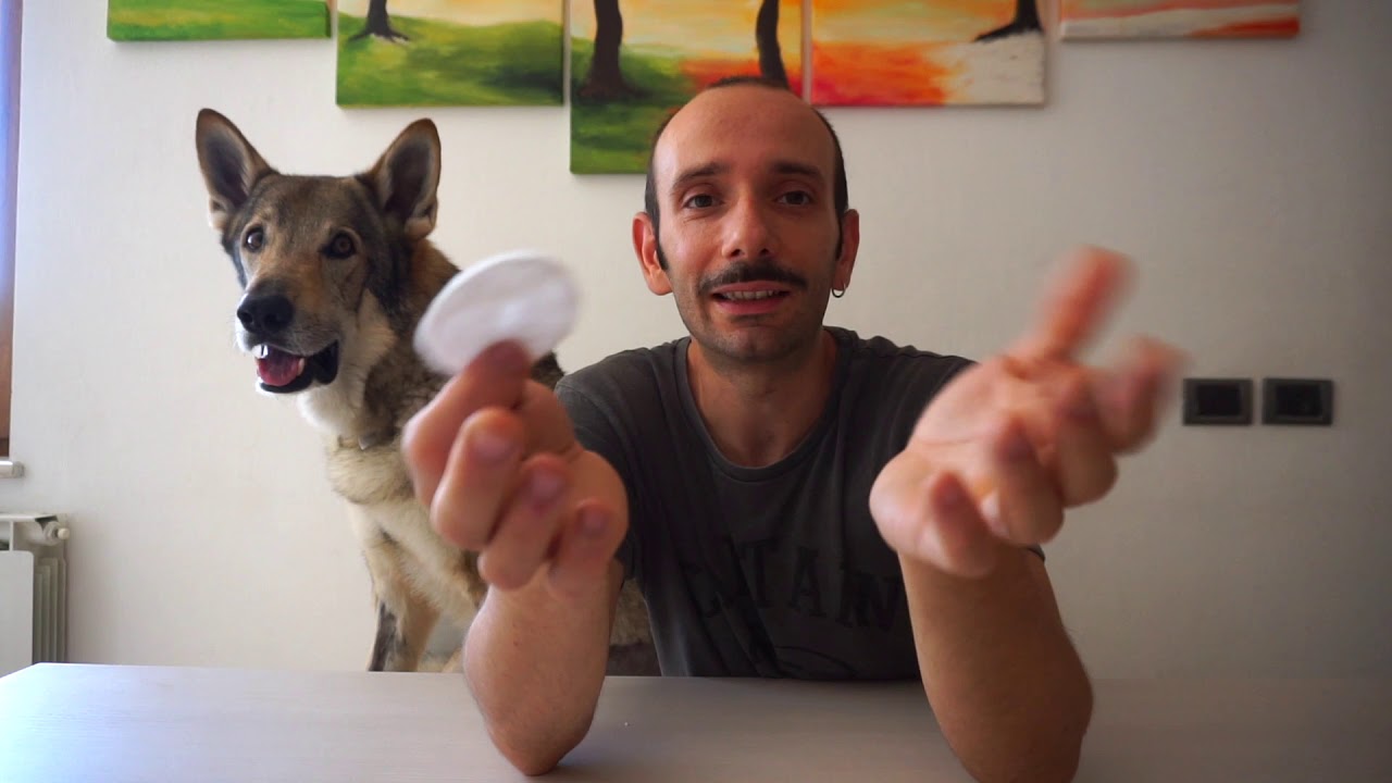 COME PULIRE LE ORECCHIE AL CANE?