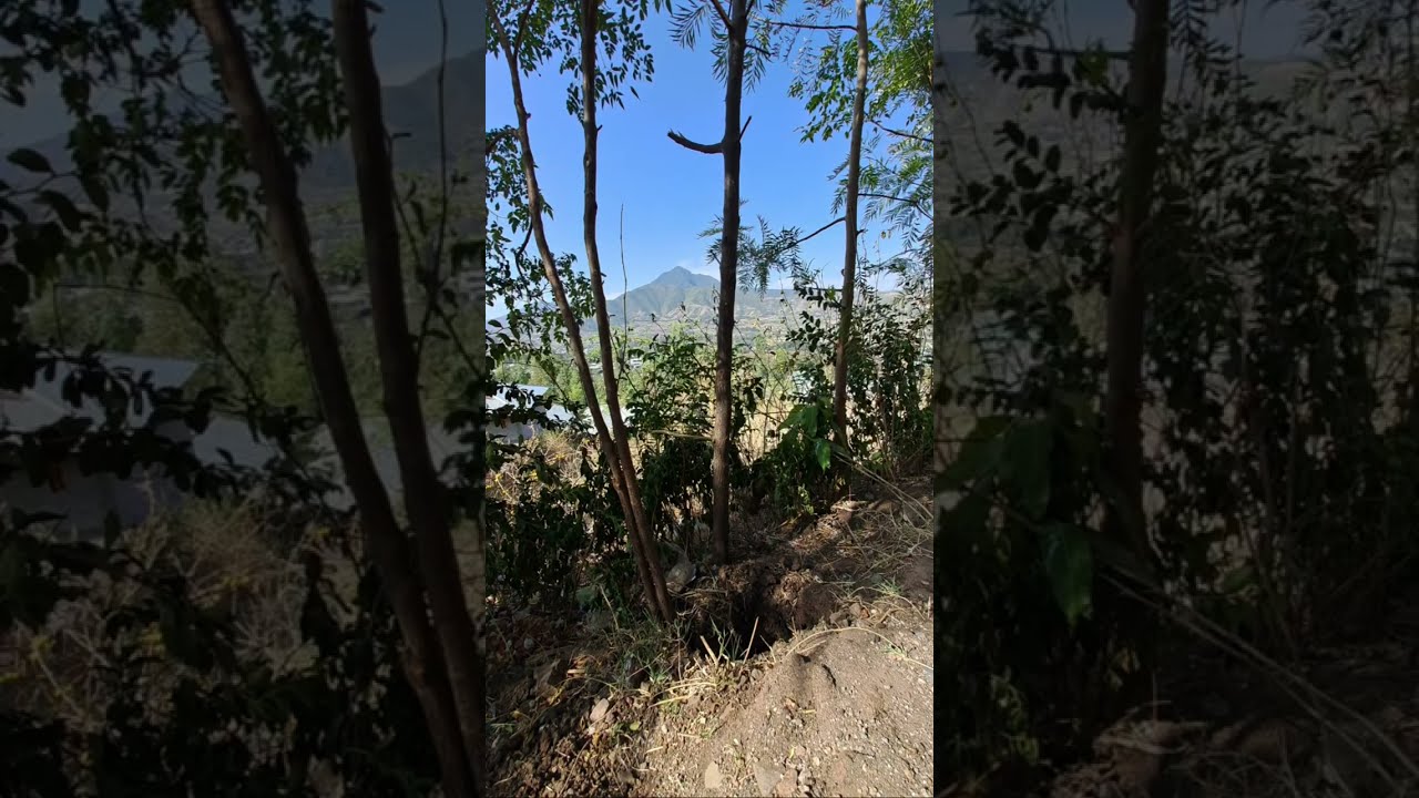 ይቅርታ መጠየቅ ትልቅነት ነው