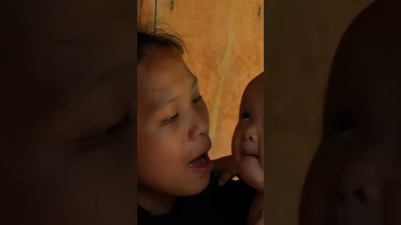 Installing a Solar Power System for the Farm & Harvesting Natural Cucumbers