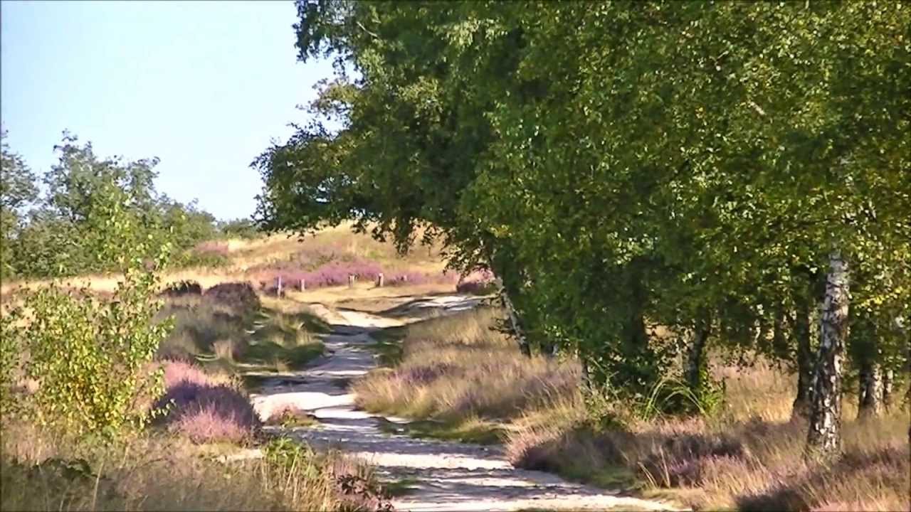 Wandeling op Landgoed de Hamert
