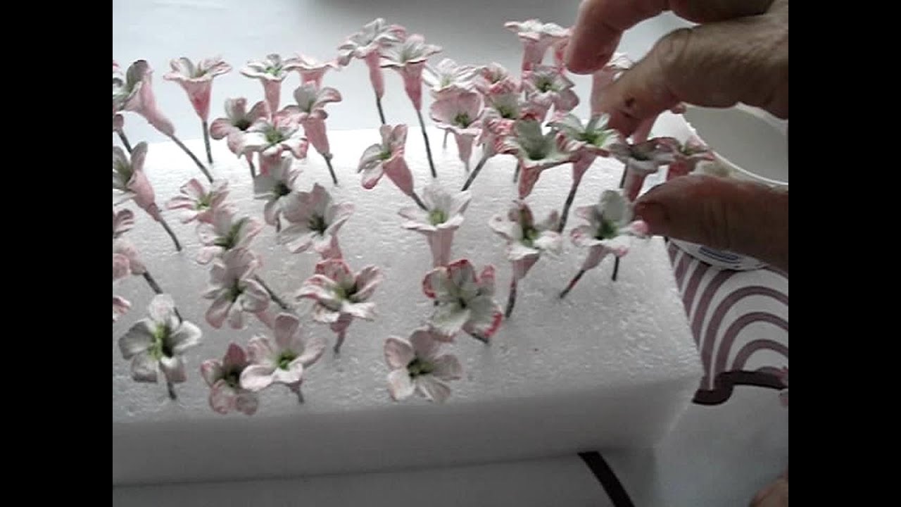 Biznaga, moña de hortensia de flores de jazmín artesanas.