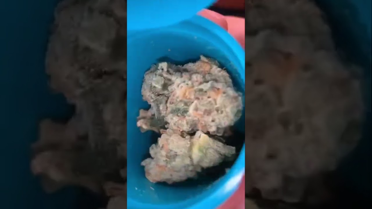 Some Top Shelf Canadian Flower (Wedding pie)