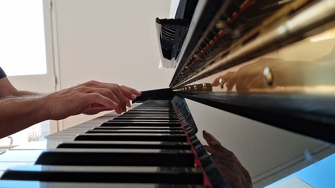 Petite Marie - Francis Cabrel (Piano Solo Cover)