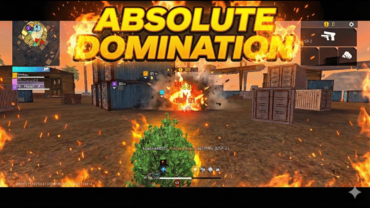 ABSOLUTE DOMINATION