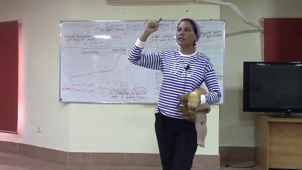 5) Physiology of Labour 19/11/2019