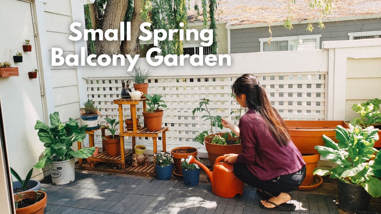 Restarting my Balcony Vegetable Garden for Spring 🌱