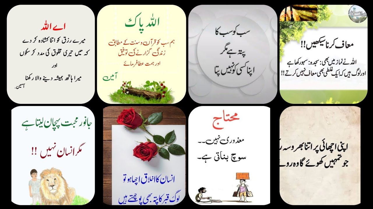 💯🕋✨Aqwal e zareen |new Aqwal e zareen in Urdu|Urdu quotes |Urdu quotes|best islamic Urdu Quotes