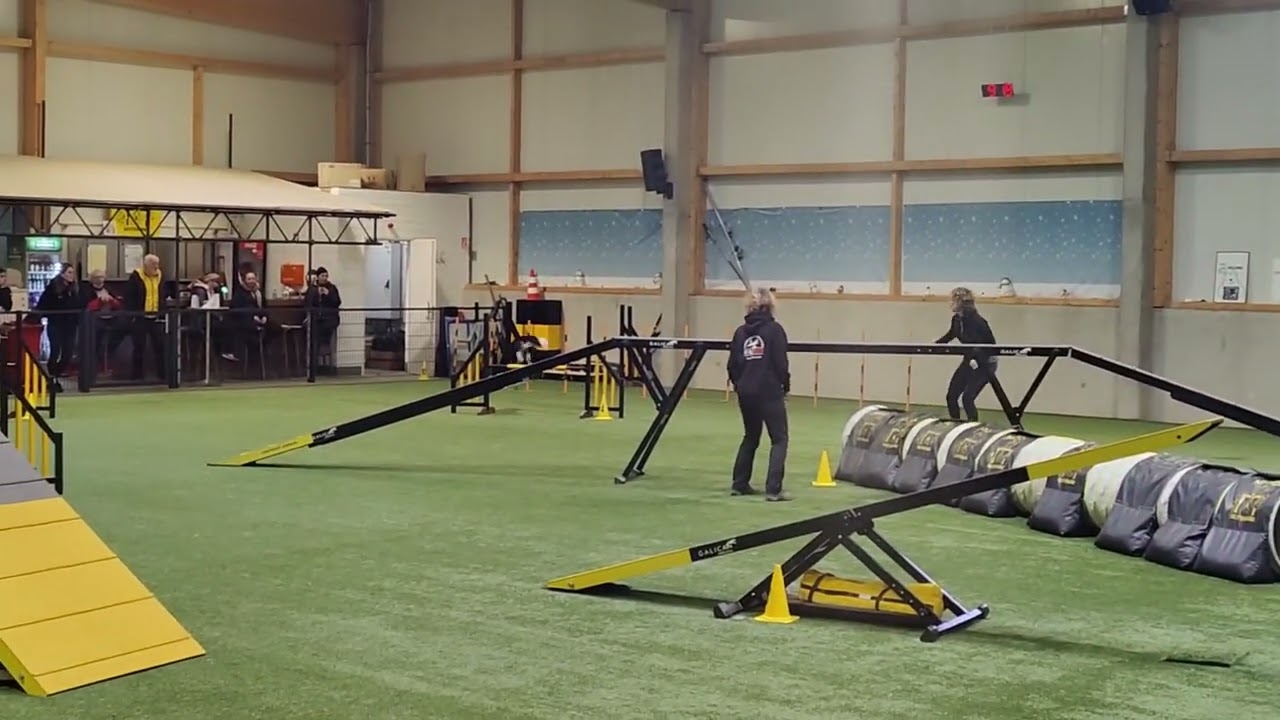 Qastor 2e pl Open agility Lux Wintercup Jan 22