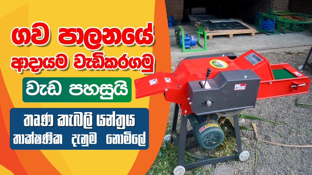 ආදායම් දෙගුණ කර ගැනීමට තාක්ෂණය යොදා ගමු.