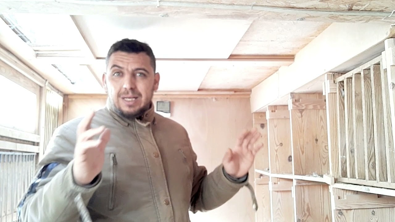 لوفت الحمام الزاجل الصحي ومواصفاته الكاملة